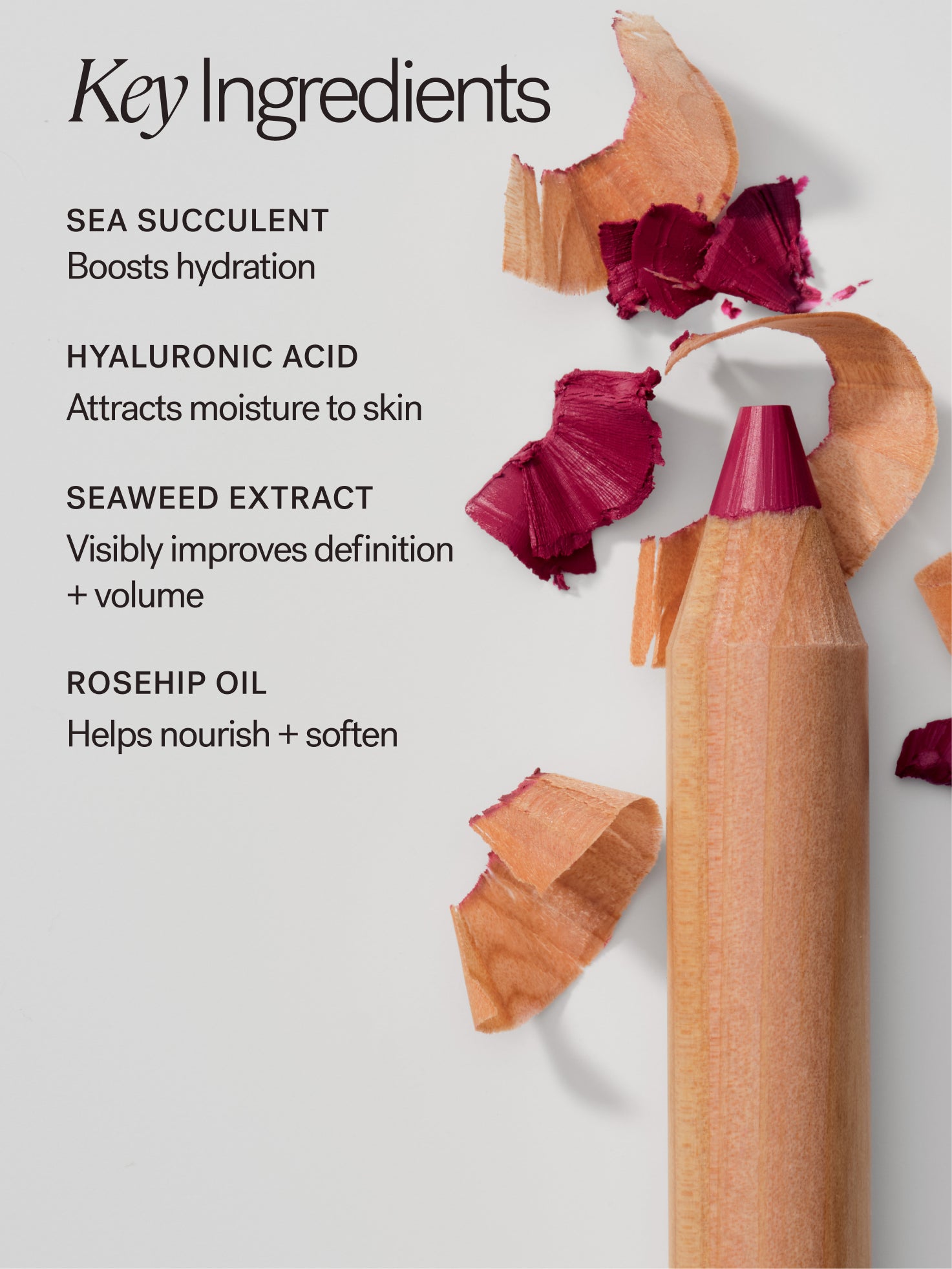 The_Mini_Lip_Sketch_Gloss_Set_LS_Ingredients_1500x2000_de93b94e-32bb-4416-82d3-9b81742a8f52.jpg